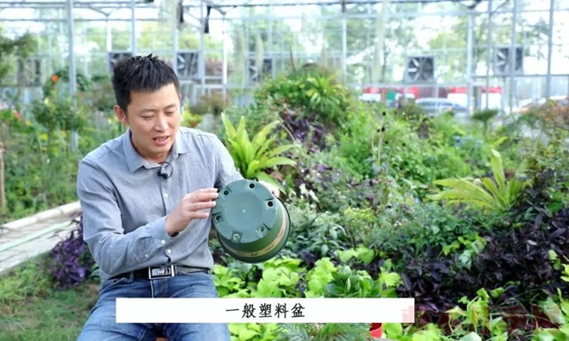 月季入手前必須了解的換盆小知識(shí)！