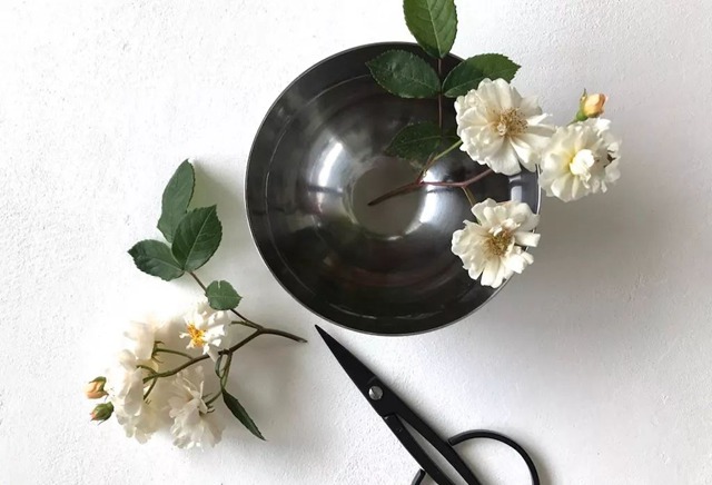 陽臺種植藤本月季花柱，從零開始打造實錄