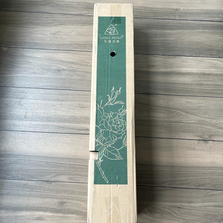 霽色月季2.5L扦插苗開(kāi)箱