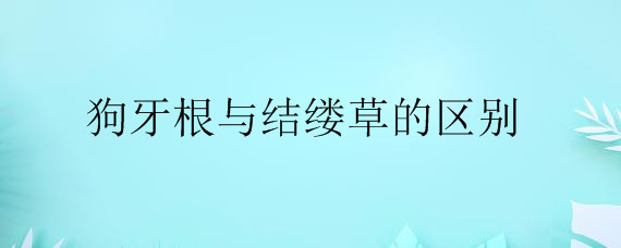 狗牙根與結縷草的區(qū)別是什么