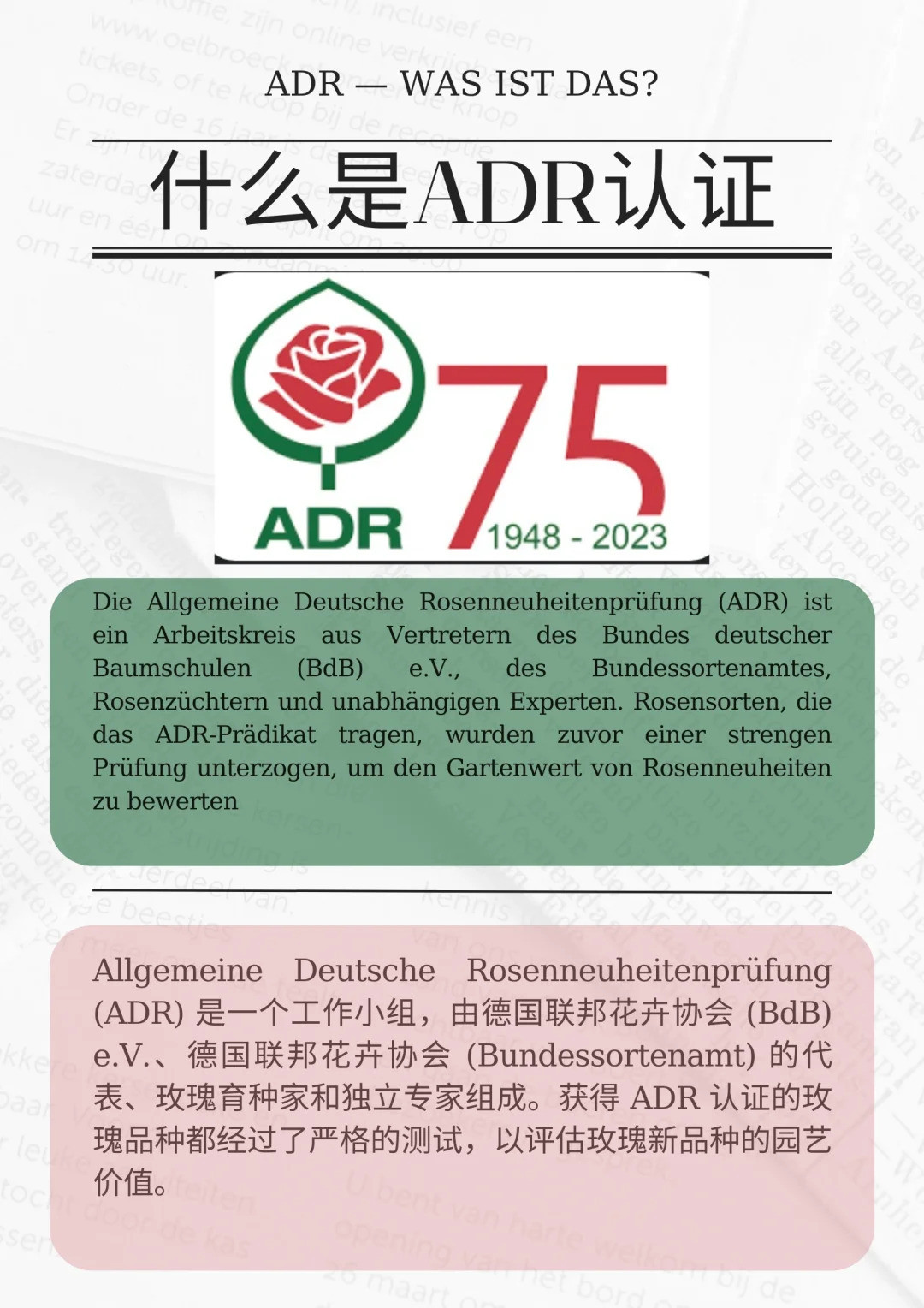 什么是ADR認(rèn)證，ADR月季官網(wǎng)名單