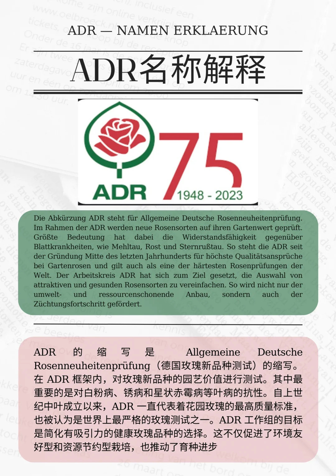 什么是ADR認(rèn)證，ADR月季官網(wǎng)名單