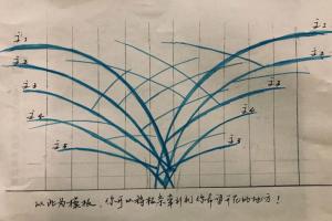 藤本月季的修剪和牽引詳細(xì)攻略