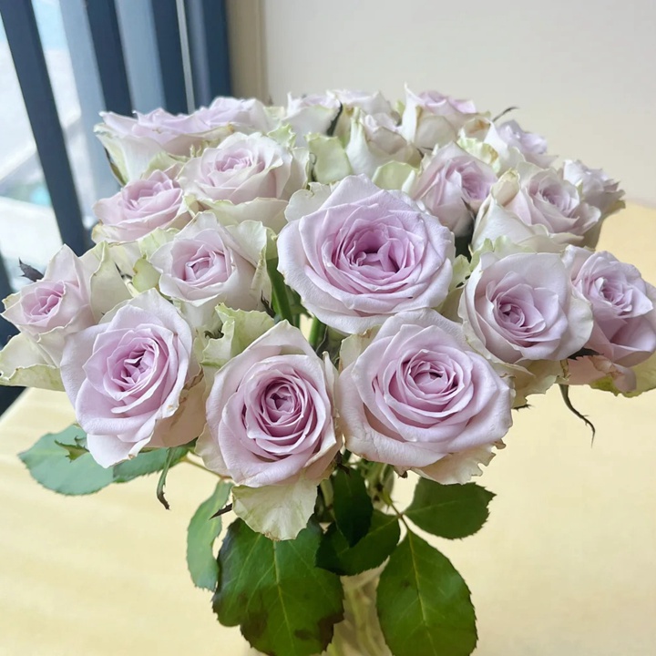 海洋之謎 Fifth Avenue