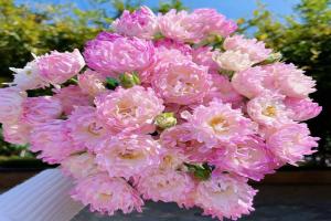 夢幻?？?/> </a>
                  <div   id=